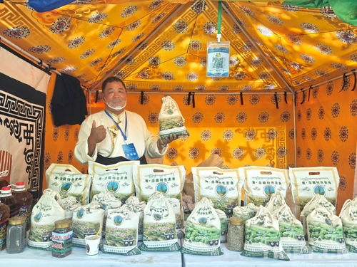 熱貢文化耀拉薩，青藏攜手譜新篇——熱貢文化推介會暨文藝演出在拉薩成功舉辦